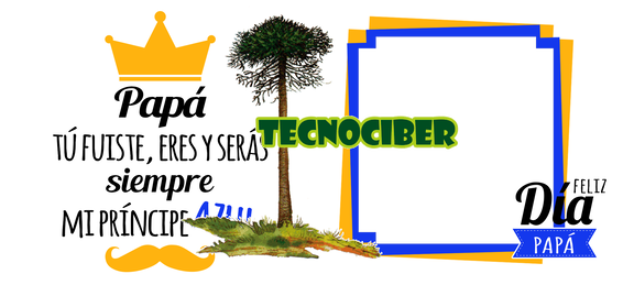 Insertar fotos (35)