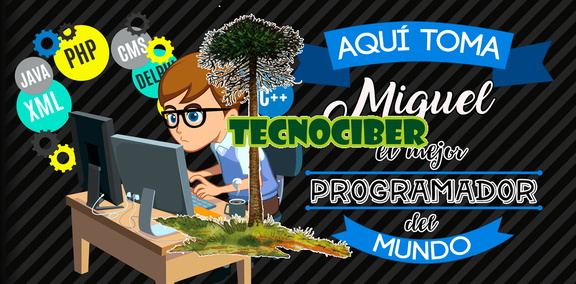 PROGRAMADOR