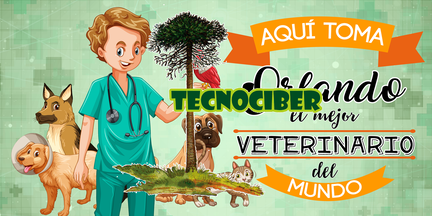 Veterinario